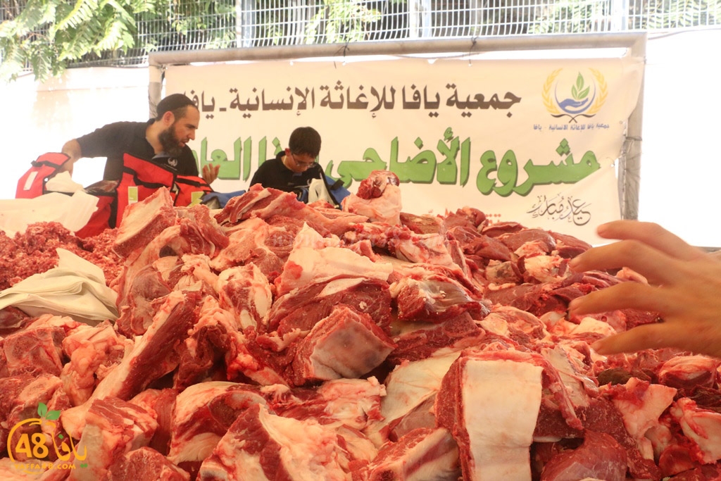 ada7y forthei (60).JPG